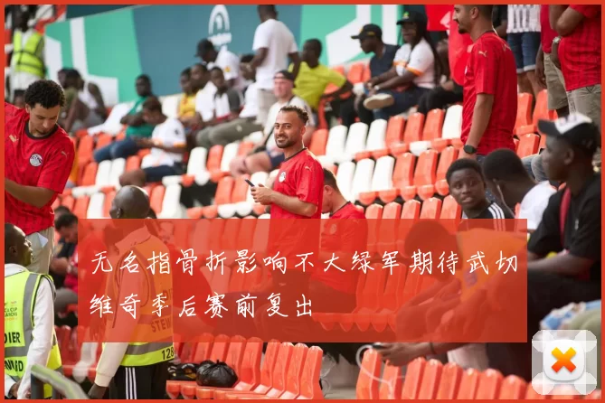 无名指骨折影响不大绿军期待武切维奇季后赛前复出