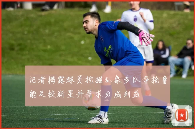 记者揭露球员挖掘乱象多队争抢鲁能足校新星并寻求分成利益