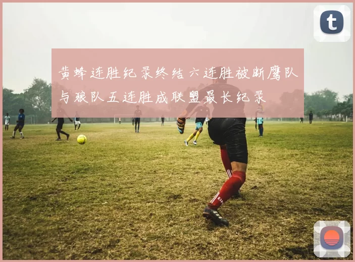 黄蜂连胜纪录终结六连胜被断鹰队与狼队五连胜成联盟最长纪录