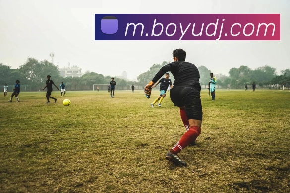 博鱼电竞APP 高清赛事图